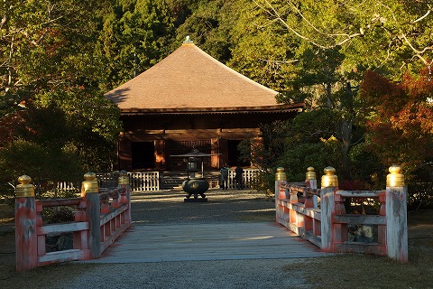 PB030152.jpg