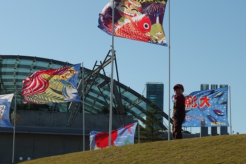 PB040162.jpg