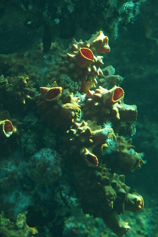 PB040200.jpg