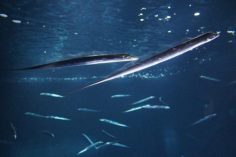 PB040210.jpg
