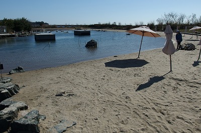 PB040232.jpg