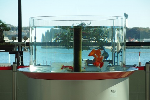 PB040241.jpg