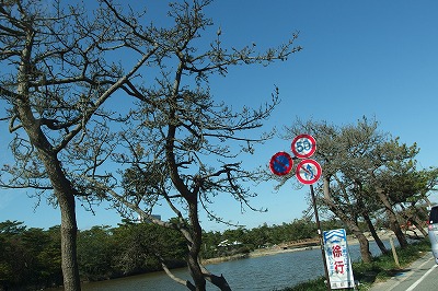 PB040262.jpg
