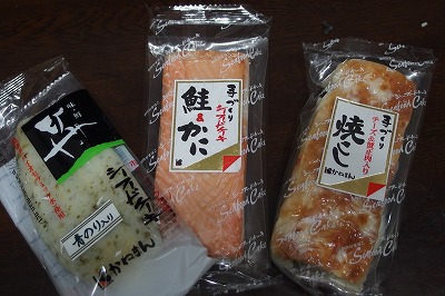 PB040310.jpg