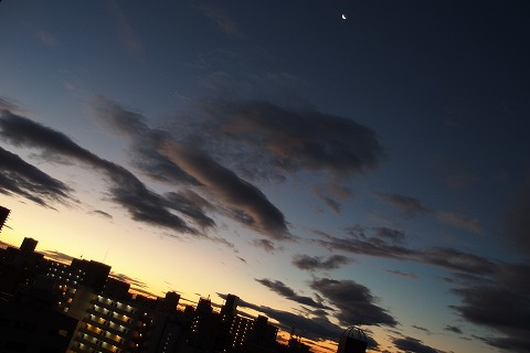 PB100322.jpg