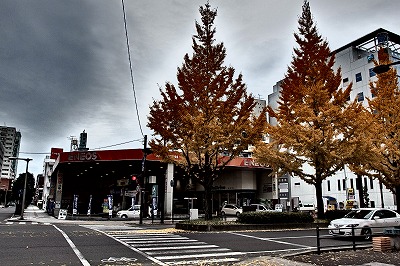 PB170391.jpg