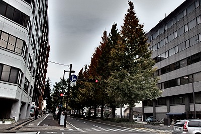 PB170393.jpg