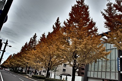 PB170394.jpg