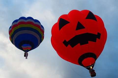 PB250478.jpg
