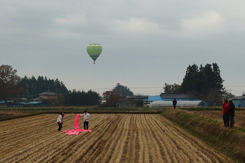 PB250547.jpg