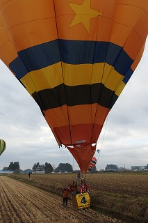 PB250559.jpg
