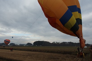 PB250562.jpg