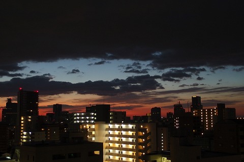 PB290584.jpg