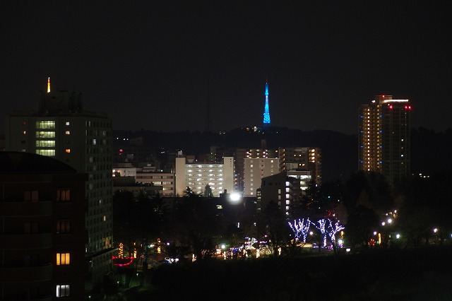 PC110696.jpg