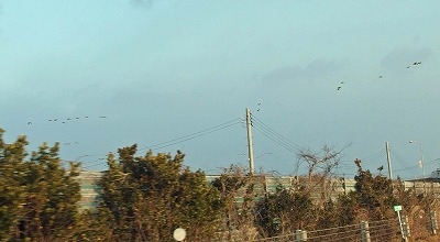 PC310748cas.jpg