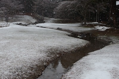 PC310768.jpg