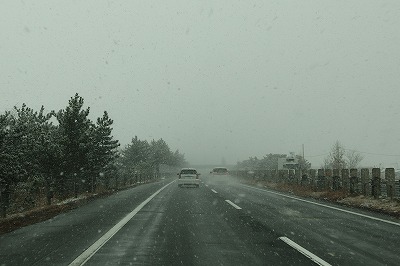 PC310775.jpg