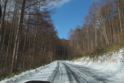 PC310799.jpg