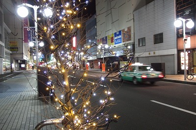 PC310919.jpg