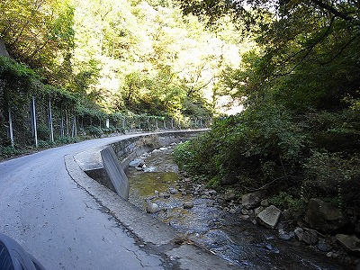R1021271.jpg