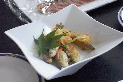 R1059151.jpg