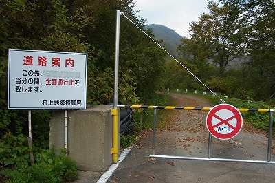 R6249853.jpg