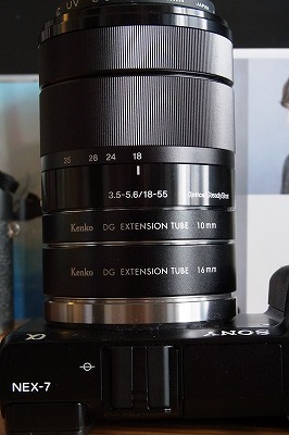 R6250253.jpg