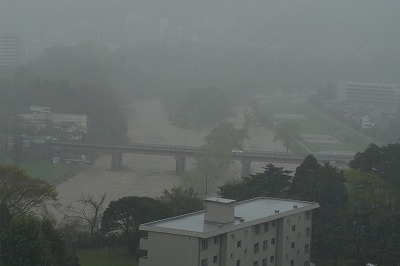 R6250347.jpg