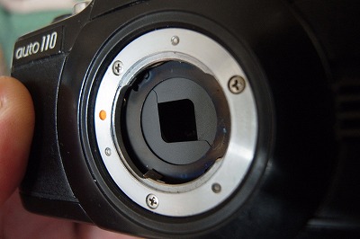 R6250378.jpg