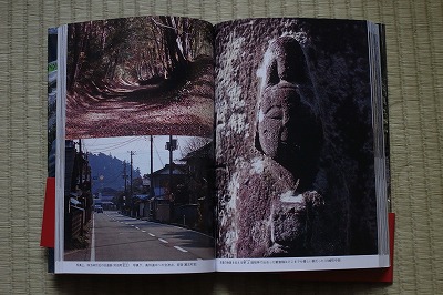 R6250399.jpg
