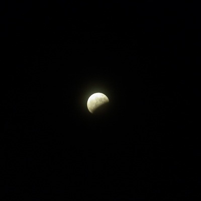 R6250411.jpg