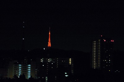 R6250452.jpg