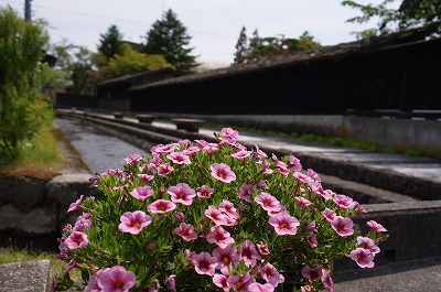 R6250478.jpg