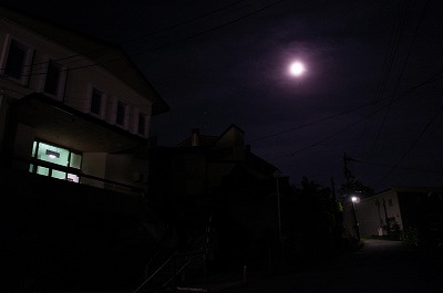 R6250510.jpg