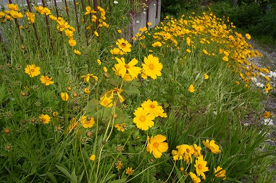 R6250562.jpg
