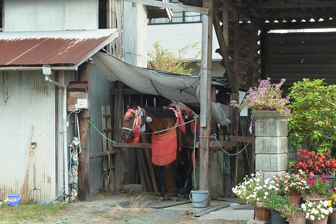 R6250669.jpg