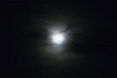 R6250776.jpg