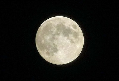 R6250778cas.jpg