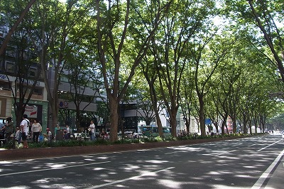 R6250795.jpg