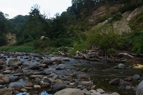 R6250863.jpg