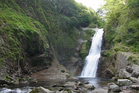 R6250872.jpg