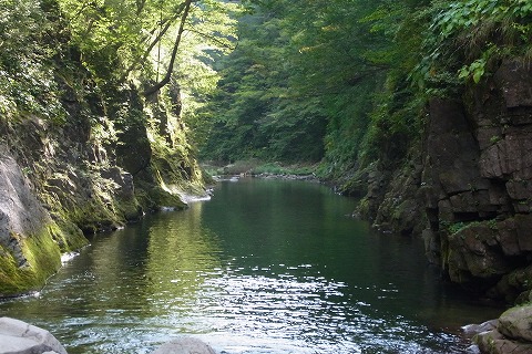 R6250876.jpg