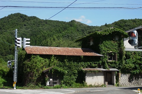 R6250950.jpg