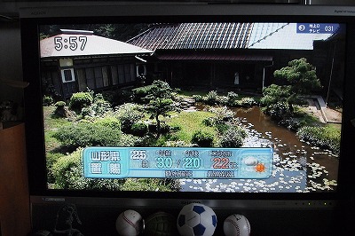 R6250959.jpg