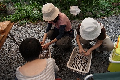 R6250990.jpg