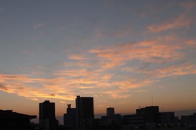 R6251103.jpg
