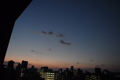 R6251115.jpg