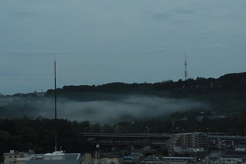 R6251175.jpg