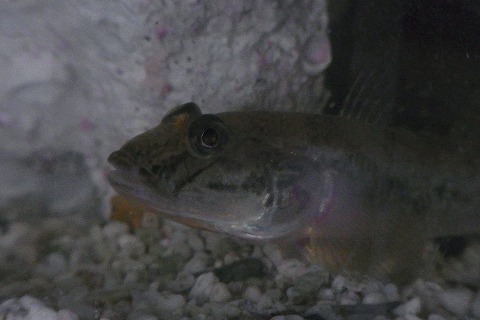 R6251179.jpg