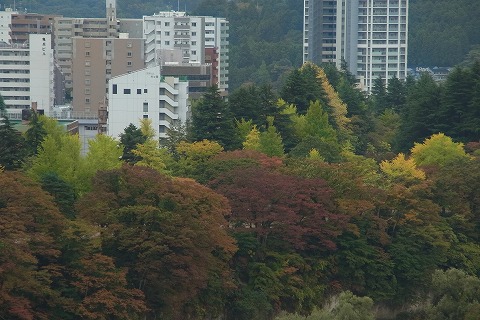 R6251183.jpg